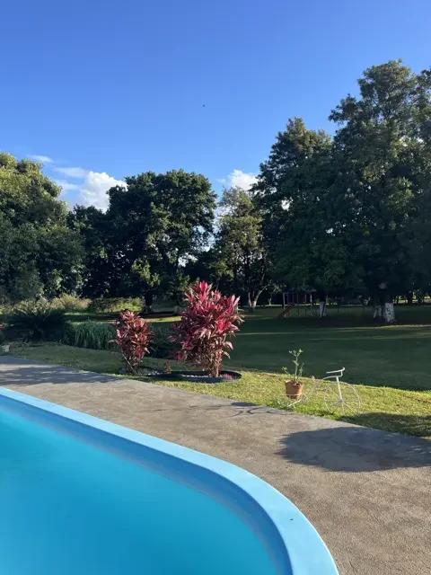 A borda da piscina com plantas vermelhas e o gramado ao fundo