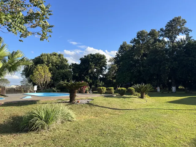 O jardim de arbustos podados e palmeiras, com a piscina à esquerda