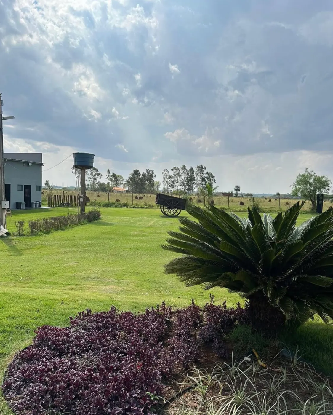 Gramado largo com carroça rústica de madeira, cerca de fazenda e pasto ao fundo, sob céu de dia