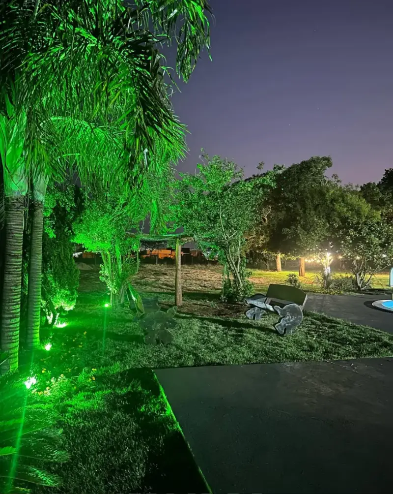Palmeiras iluminadas por luz verde no jardim à noite, com luzes do varal ao fundo