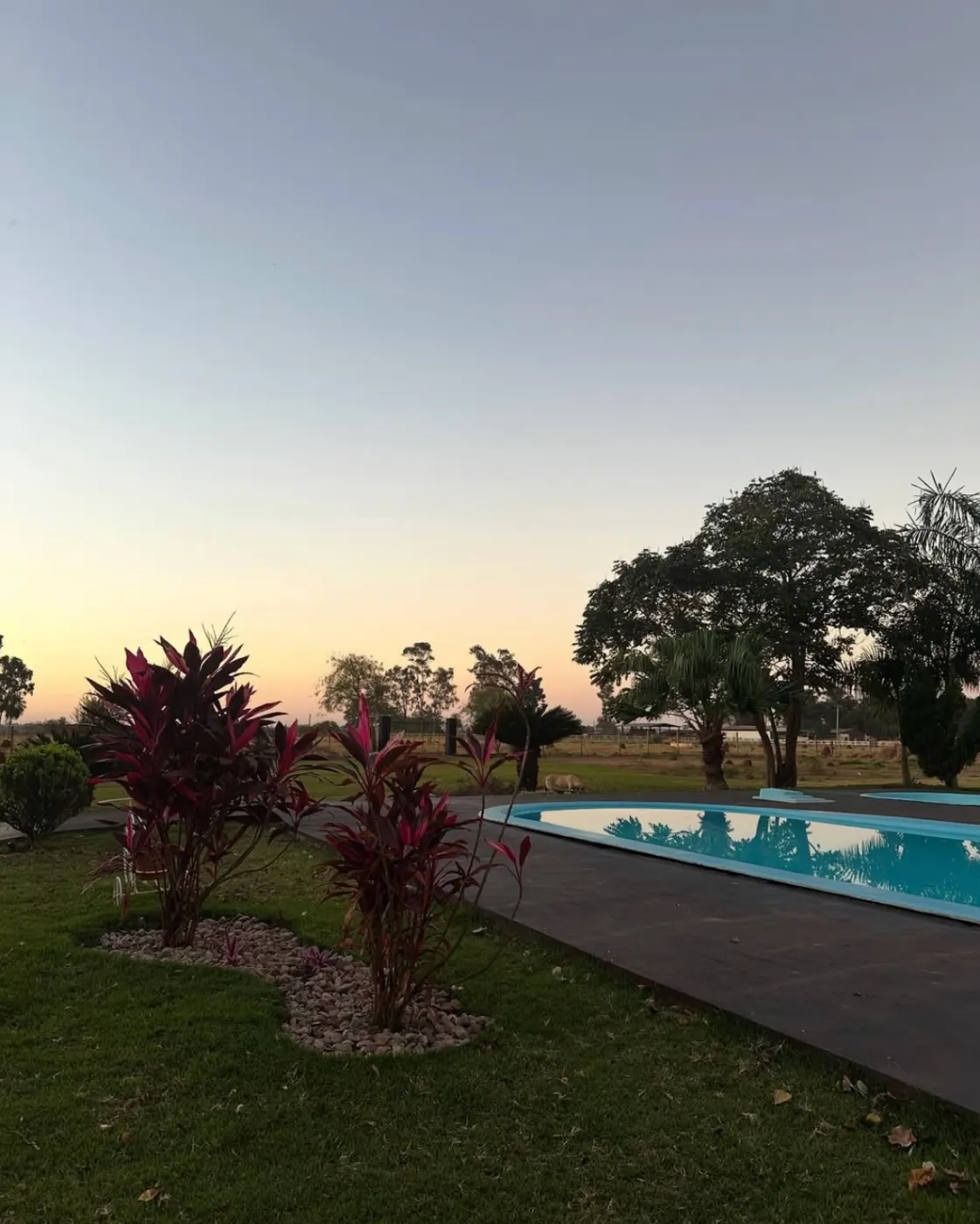 Borda da piscina ao entardecer, com plantas ornamentais avermelhadas e o céu em degradê de pôr do sol